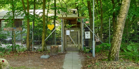 Indgangspartiet til Skovbørnehaven Svend Gønge i Næstved Kommune. Indgangsdøren er i træ og føre ind til skoven, hvor en træbygning anes mellem træerne. 