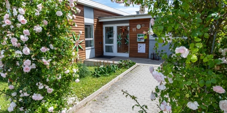 Indgangspartiet til daginstitutionen Haletudsen i Næstved Kommune. Husets facader er i træ. Der vokser lyserøde roser på begge sider af indgangspartiet. 